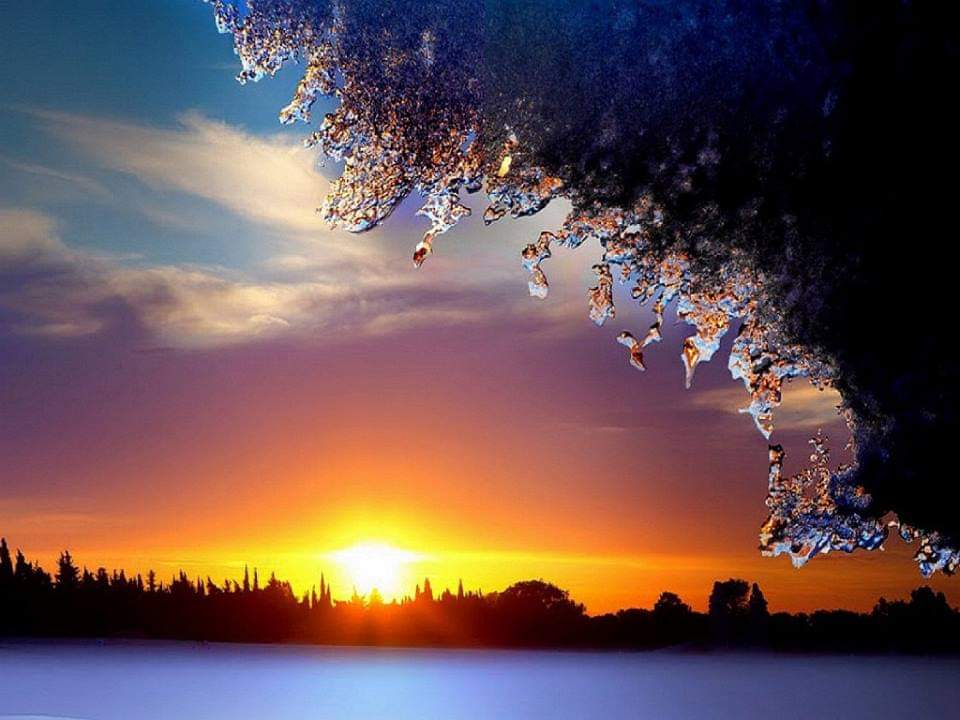 A sunset with trees and water in the background