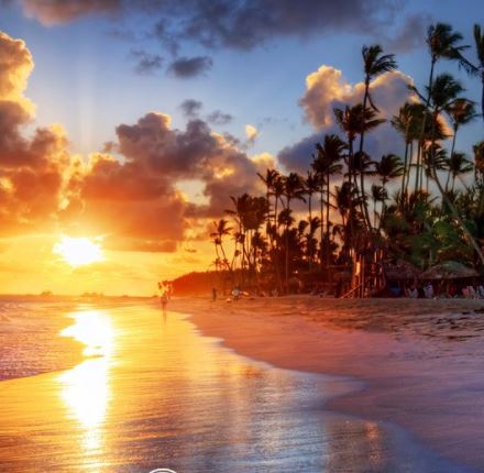A sunset over the ocean with palm trees in the background.