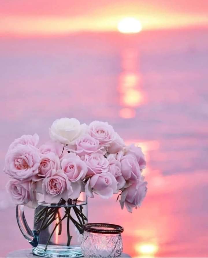 A vase filled with pink flowers on top of a table.